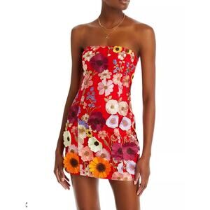 Endless Rose Red Floral Mini Dress